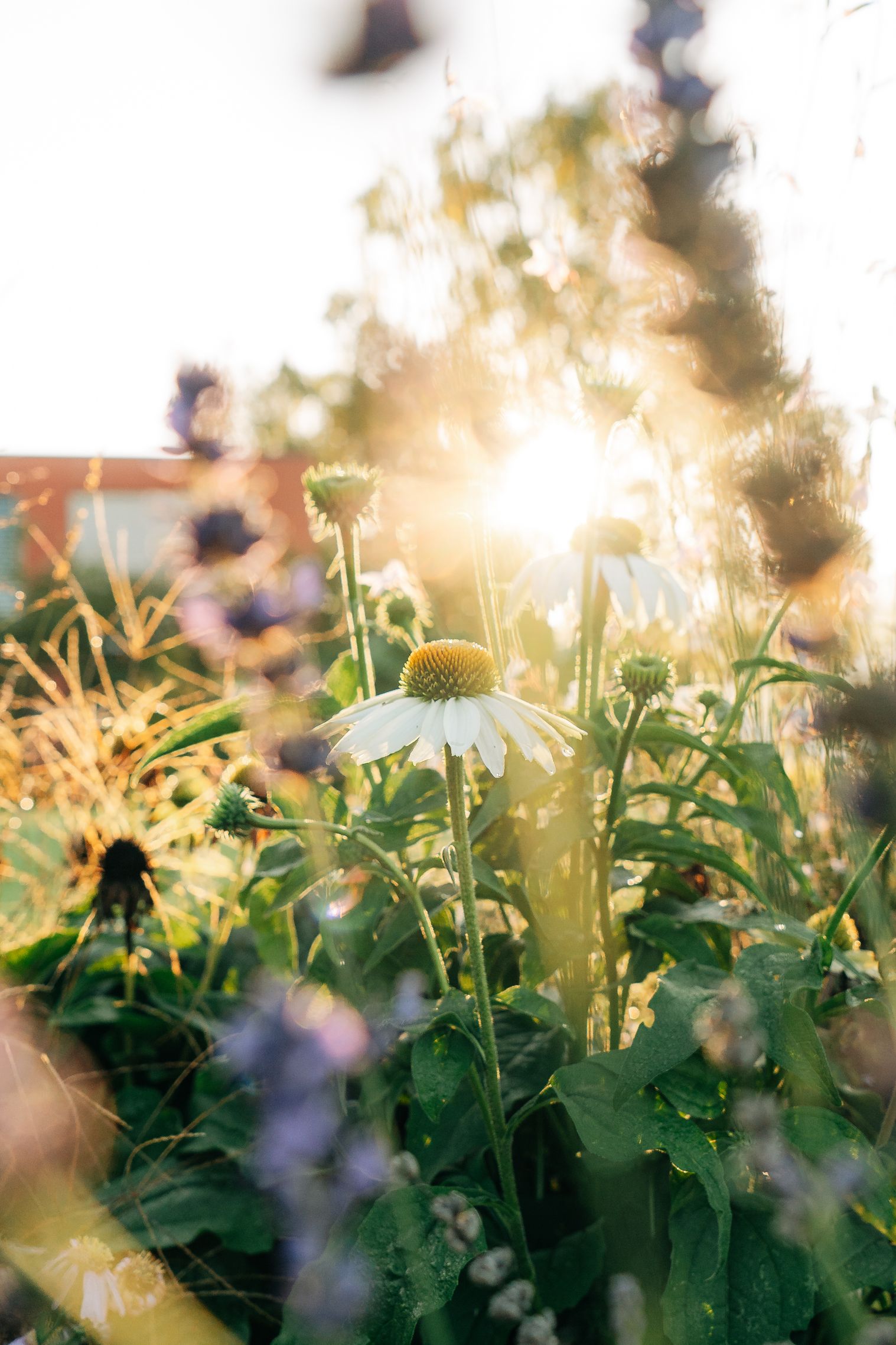 Gartenplanung