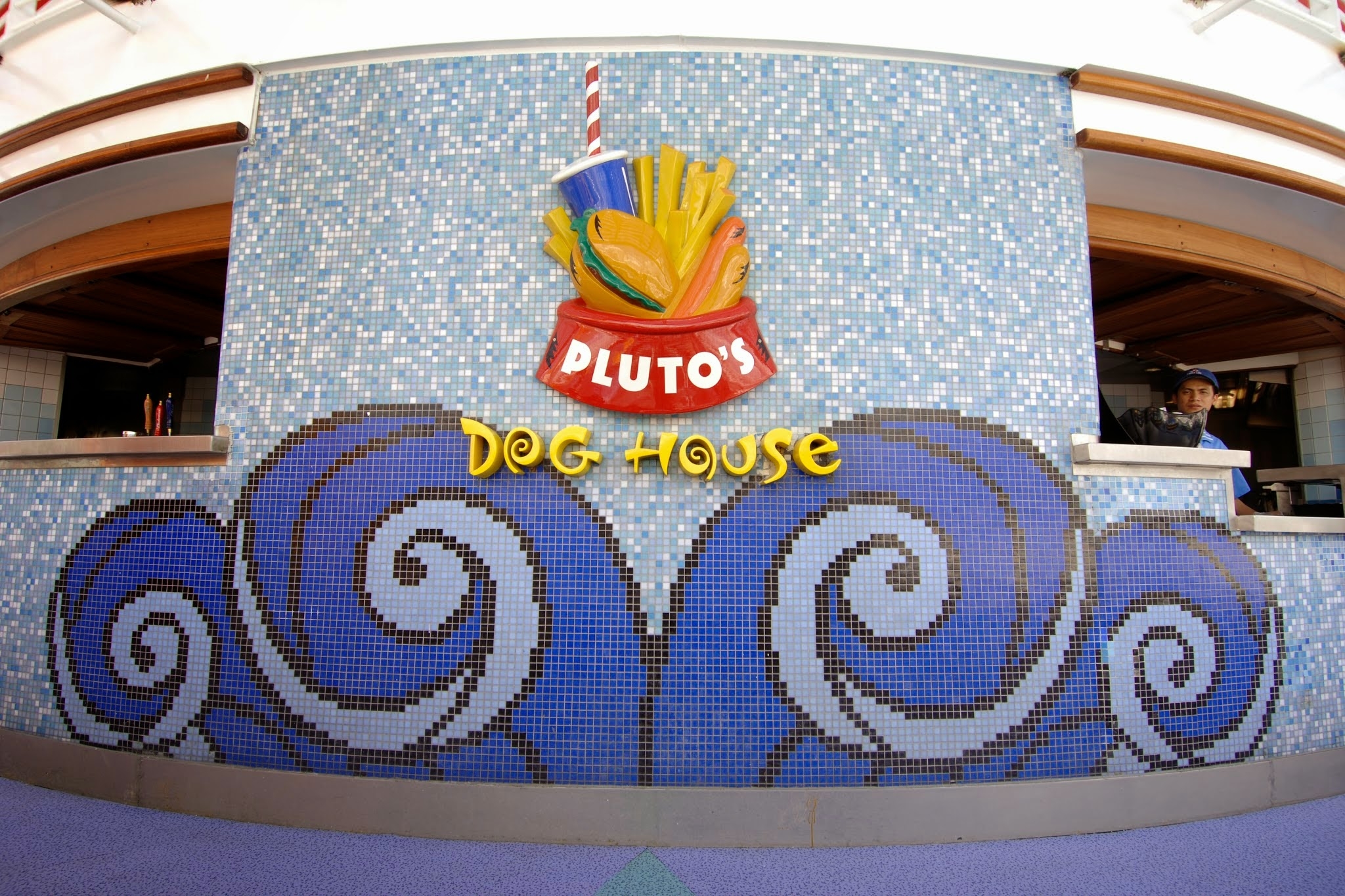 Pluto's Dog House Photo