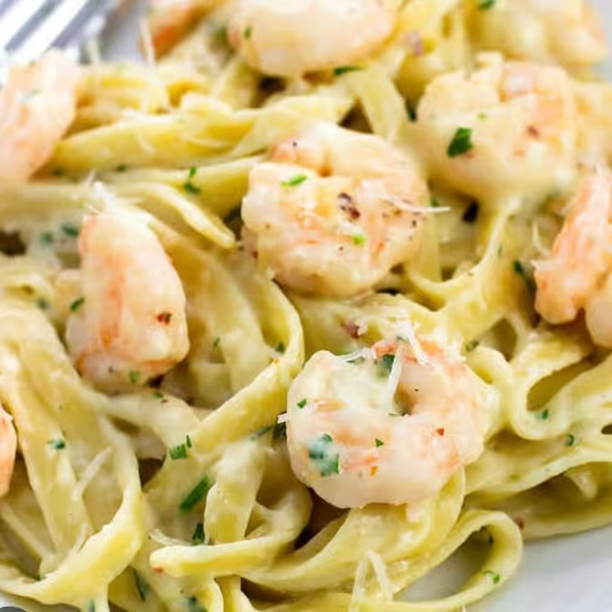 Shrimp Alfredo Pasta