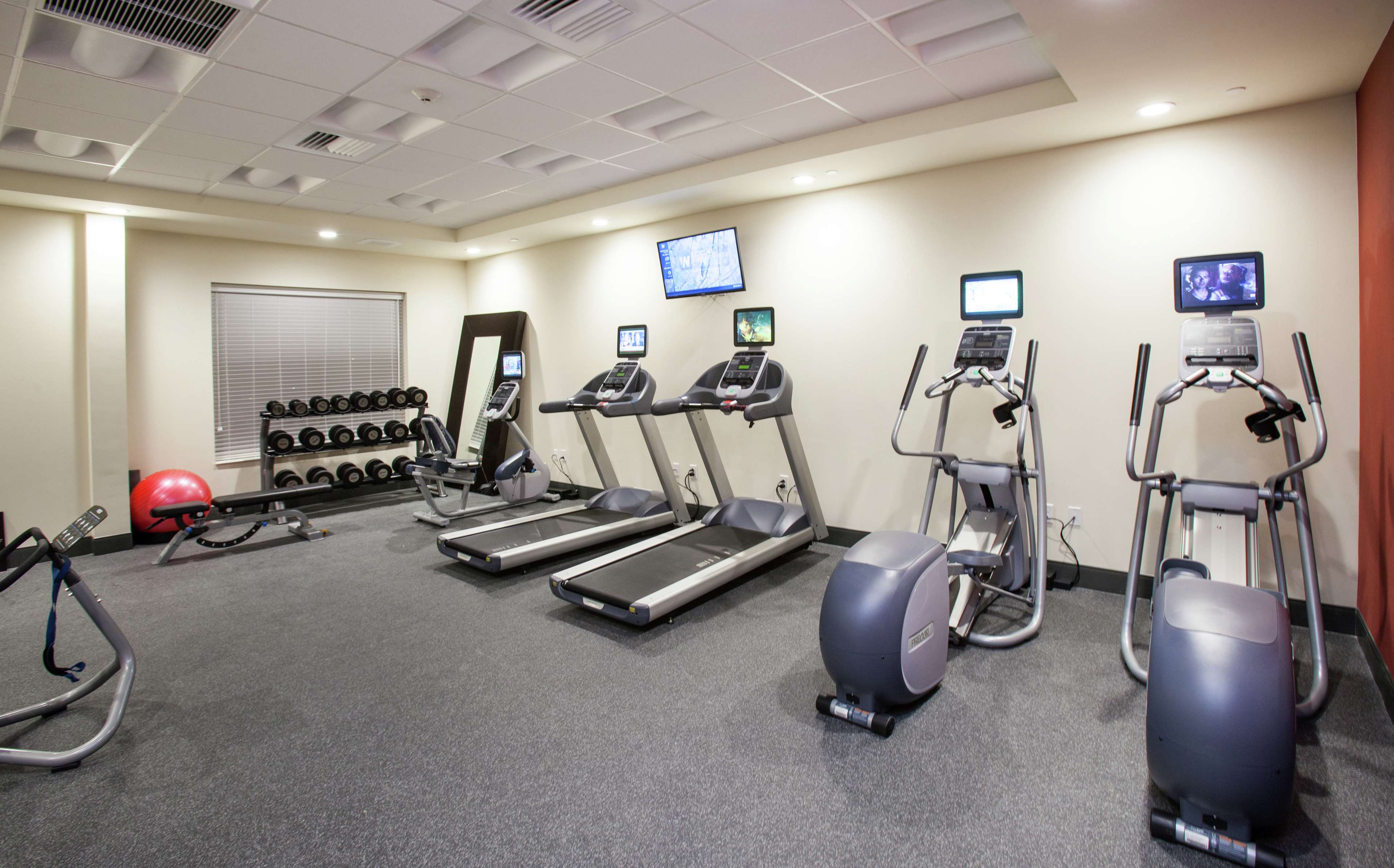 Health club  fitness center  gym