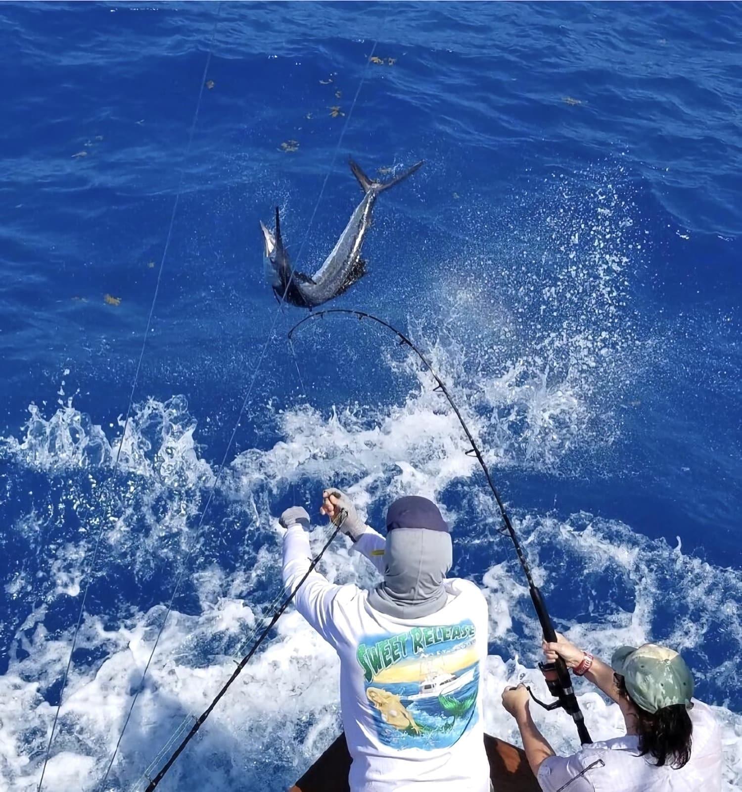 Yabba Dabba Doo Charters Image