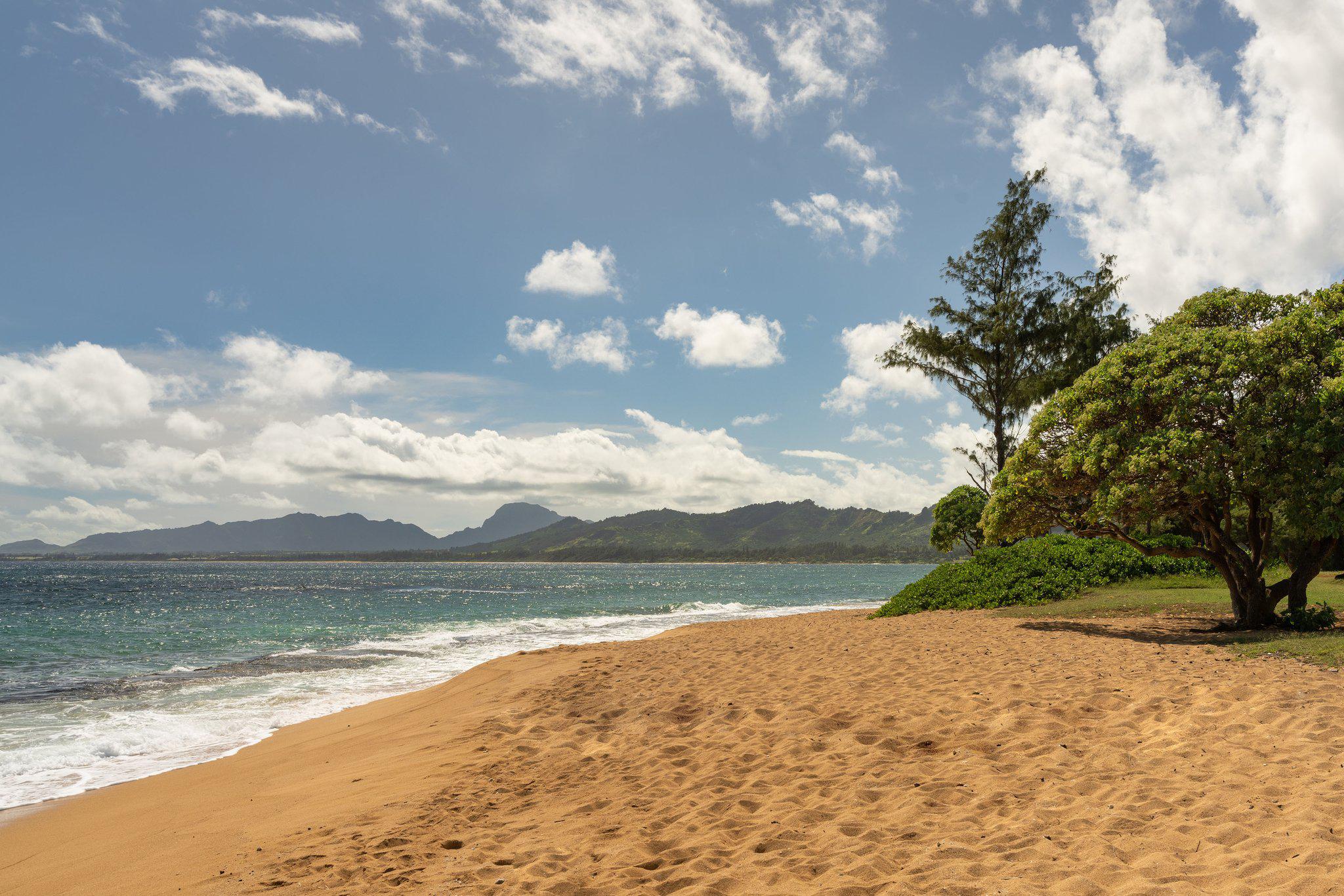 Sheraton Kauai Coconut Beach Resort Photo