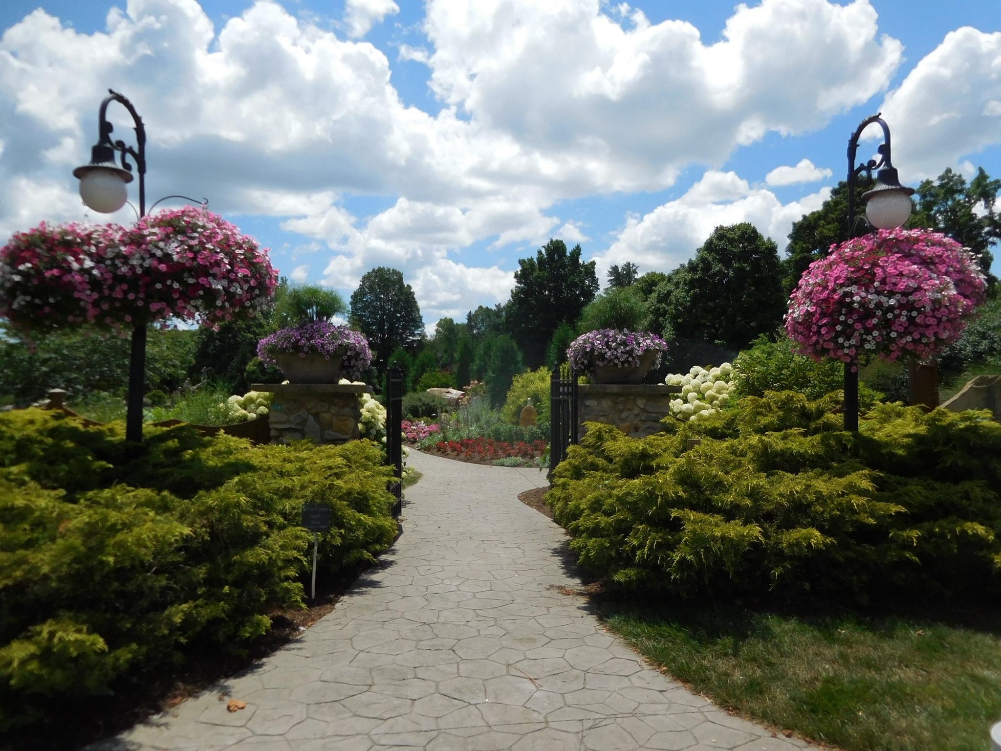 Holiday Inn Express & Suites Marion by IHG Image