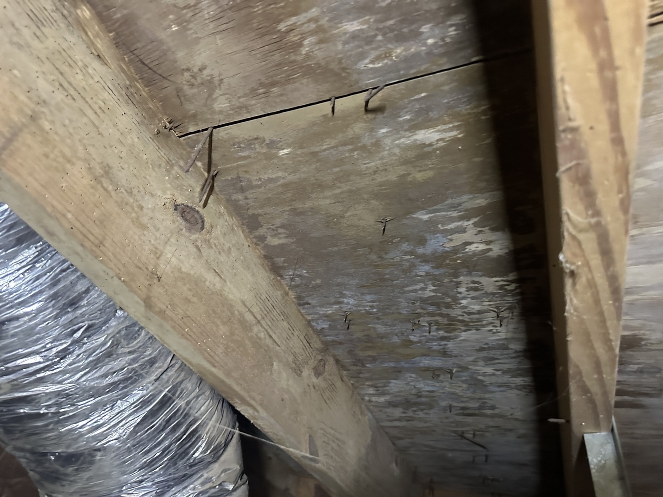 Ox Foundation Solutions Image