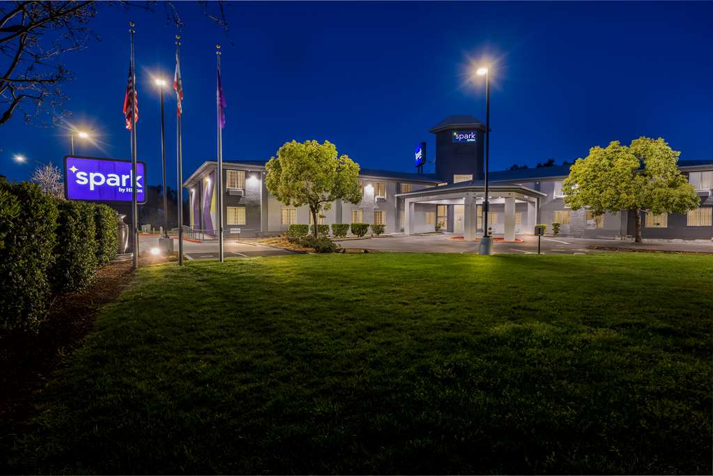 Spark by Hilton Williams Image