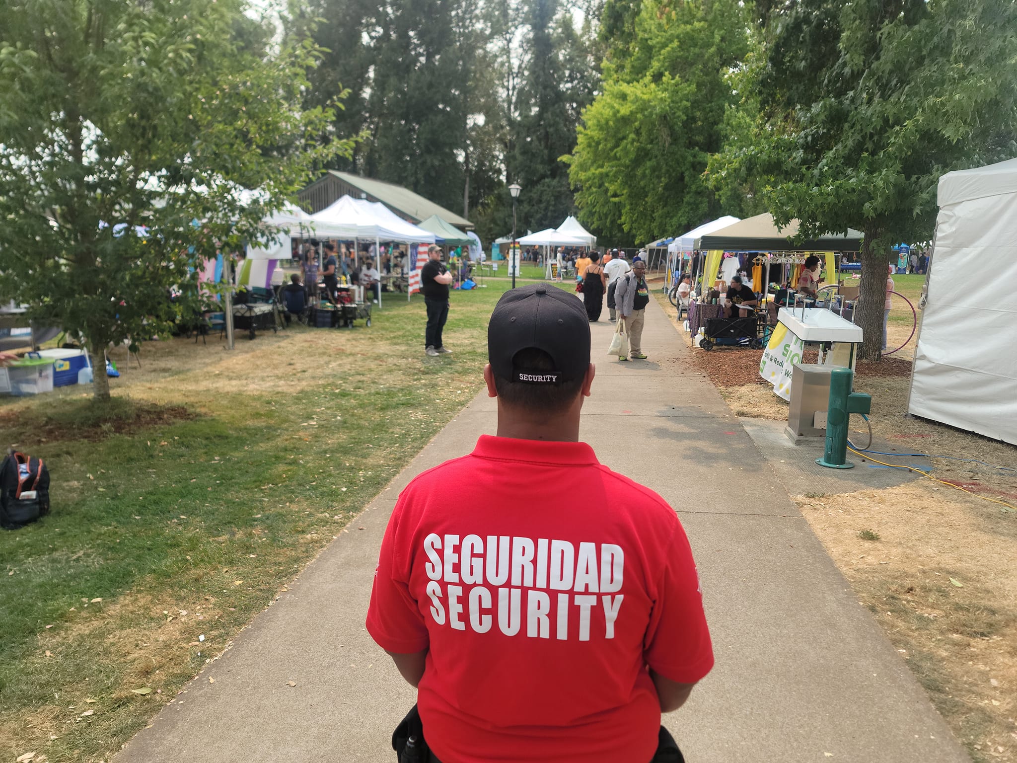 Seguridad Security Image