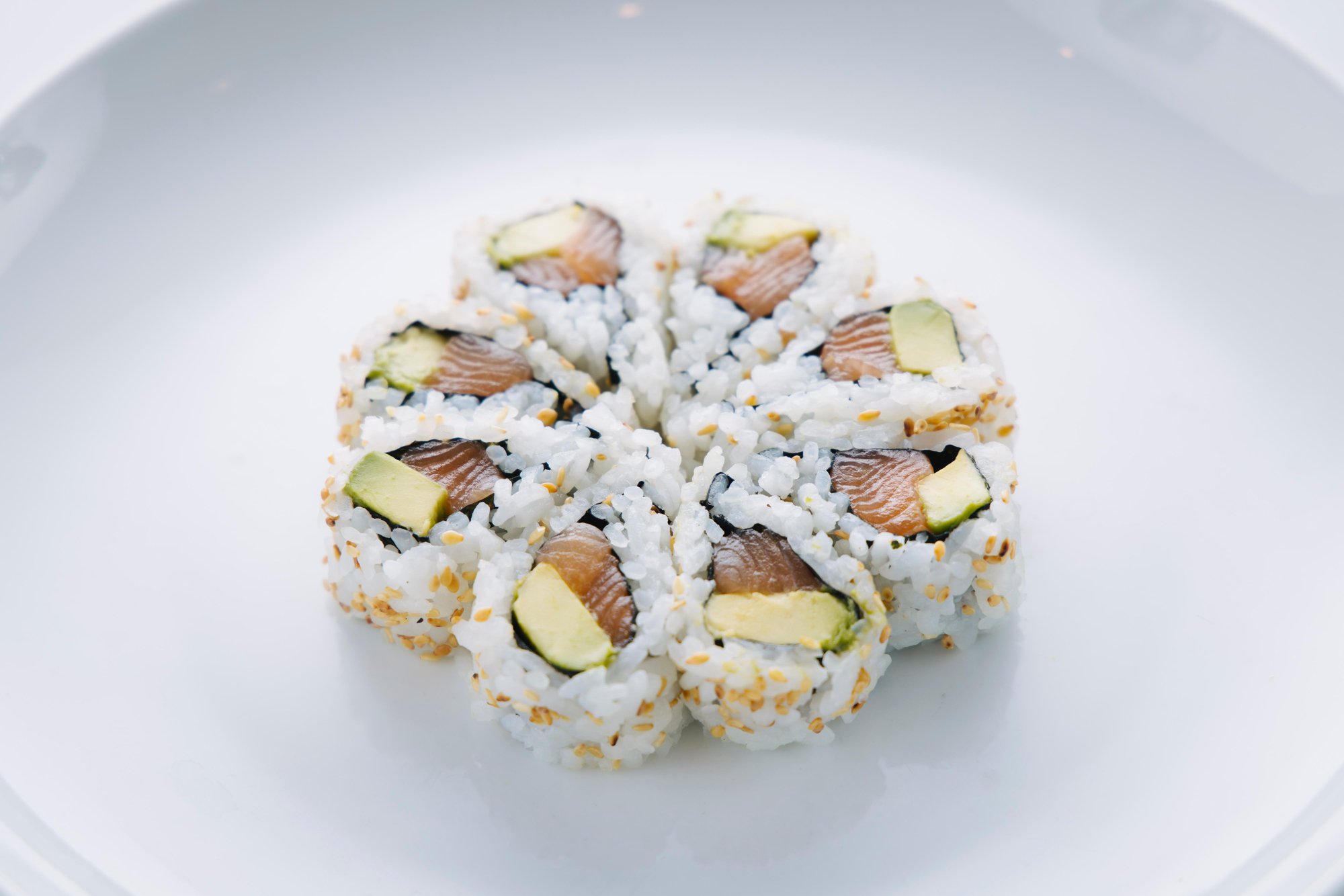 Salmon and Avocado Roll