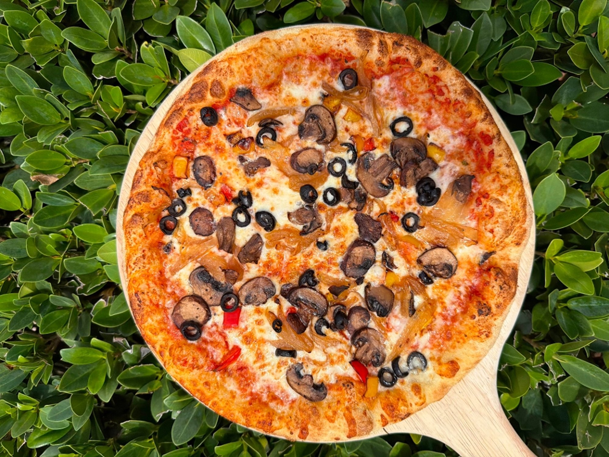 Veggie Pizza