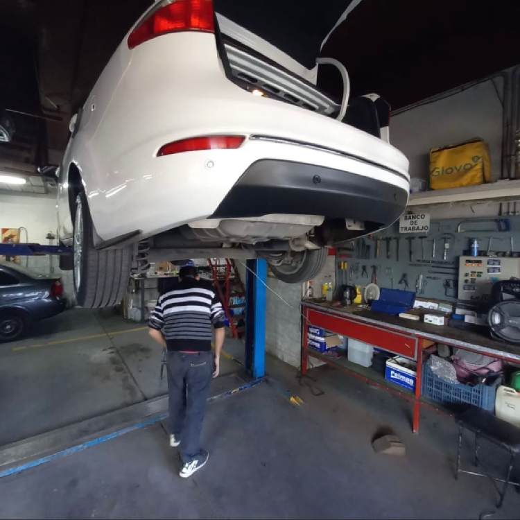 Galería en miniatura