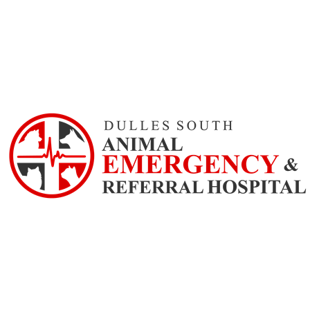 Dulles South Animal Emergency Hospital Photo