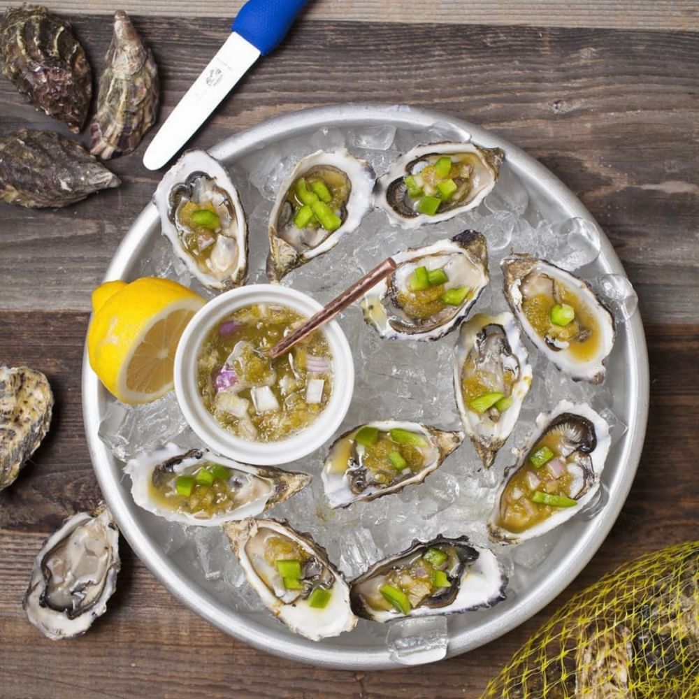 Oyster Kumamoto 1 Dozen