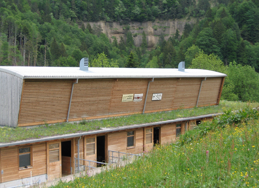 Bilder Rüegg Bedachungen AG