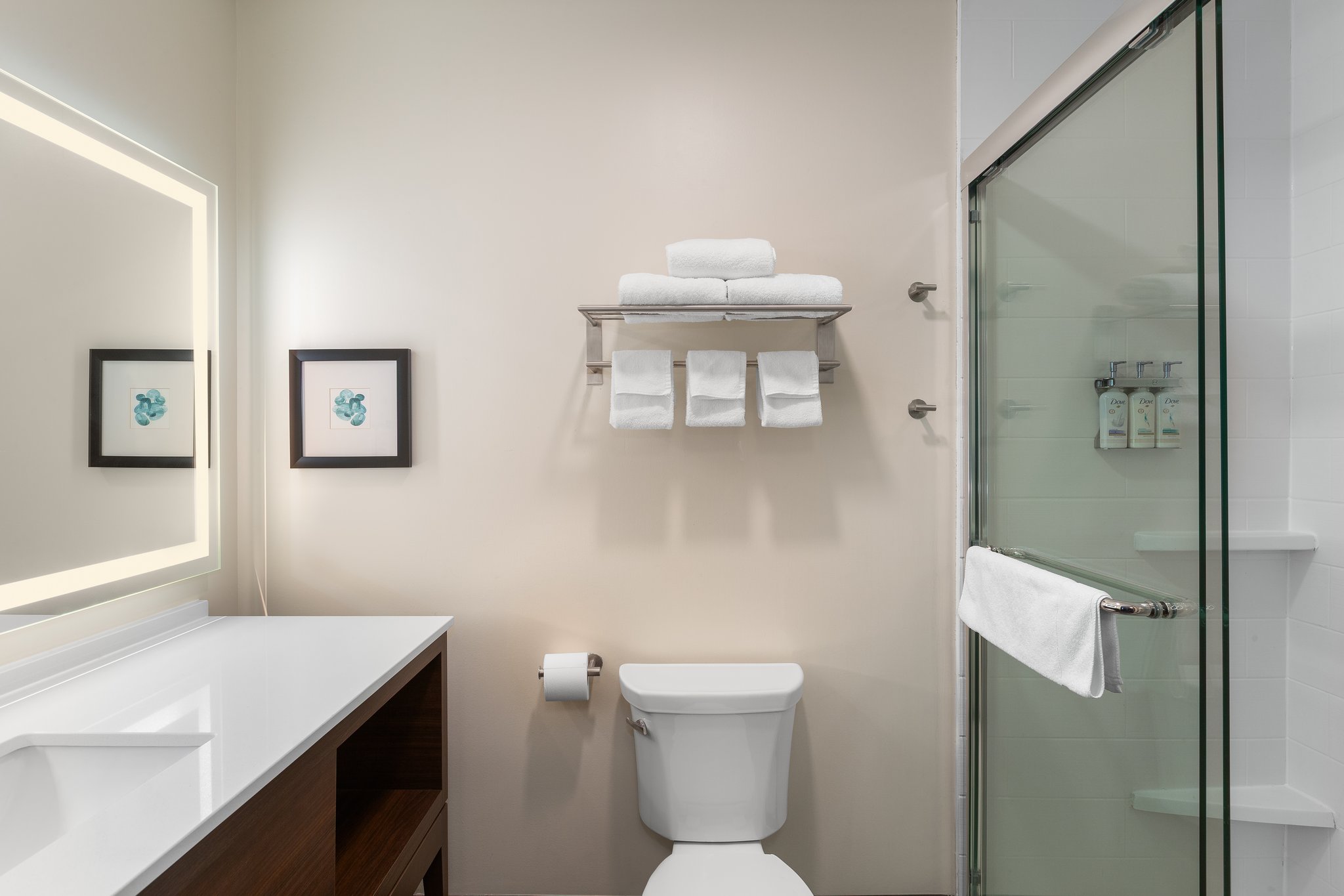 Holiday Inn & Suites Detroit - Troy by IHG Image