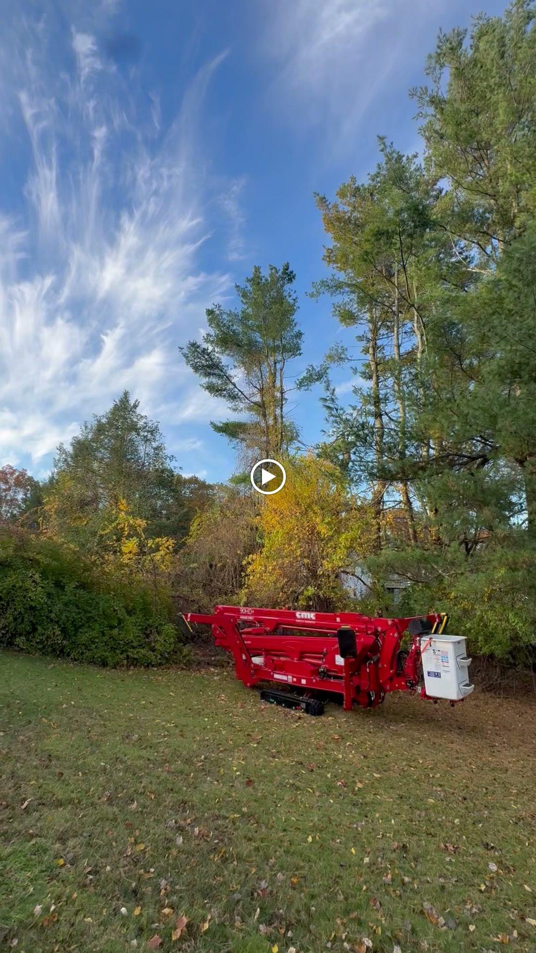 RWP Tree Worx, LLC