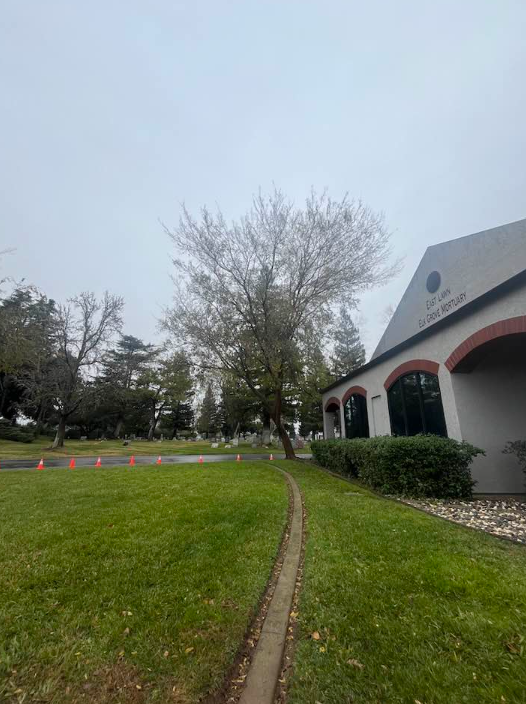 J The Tree Guy Image