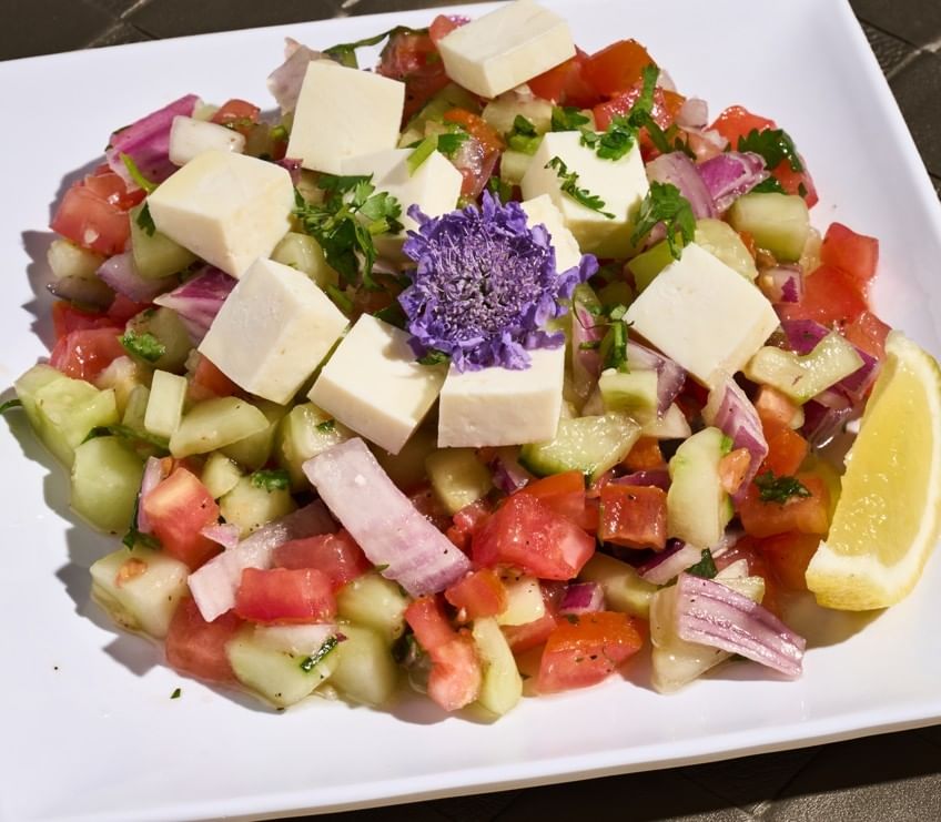 Cucumber Salad