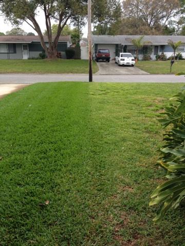 Forever Green Lawn and Pest Control Image