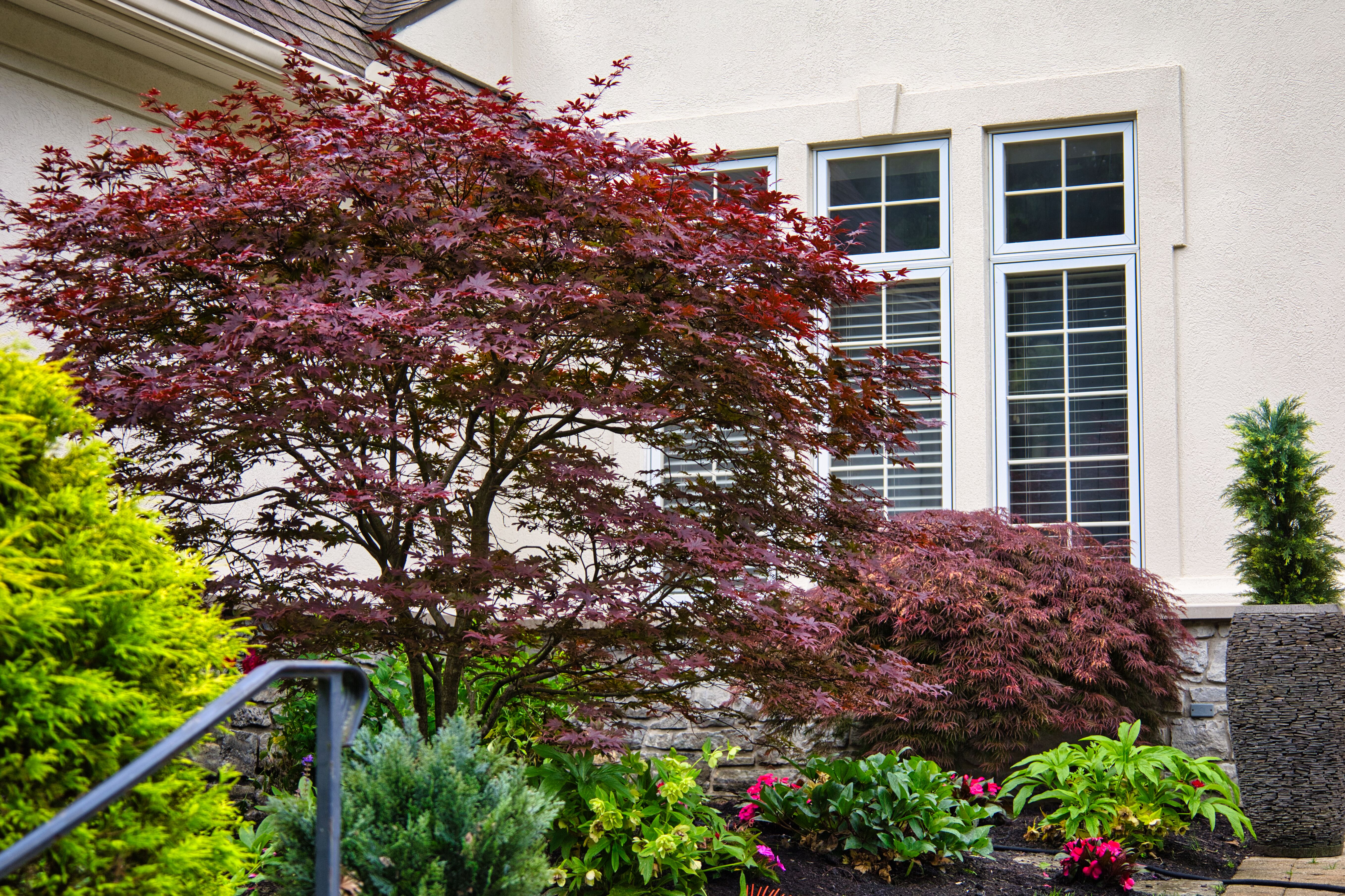 Oakwood Lawn & Landscaping Image