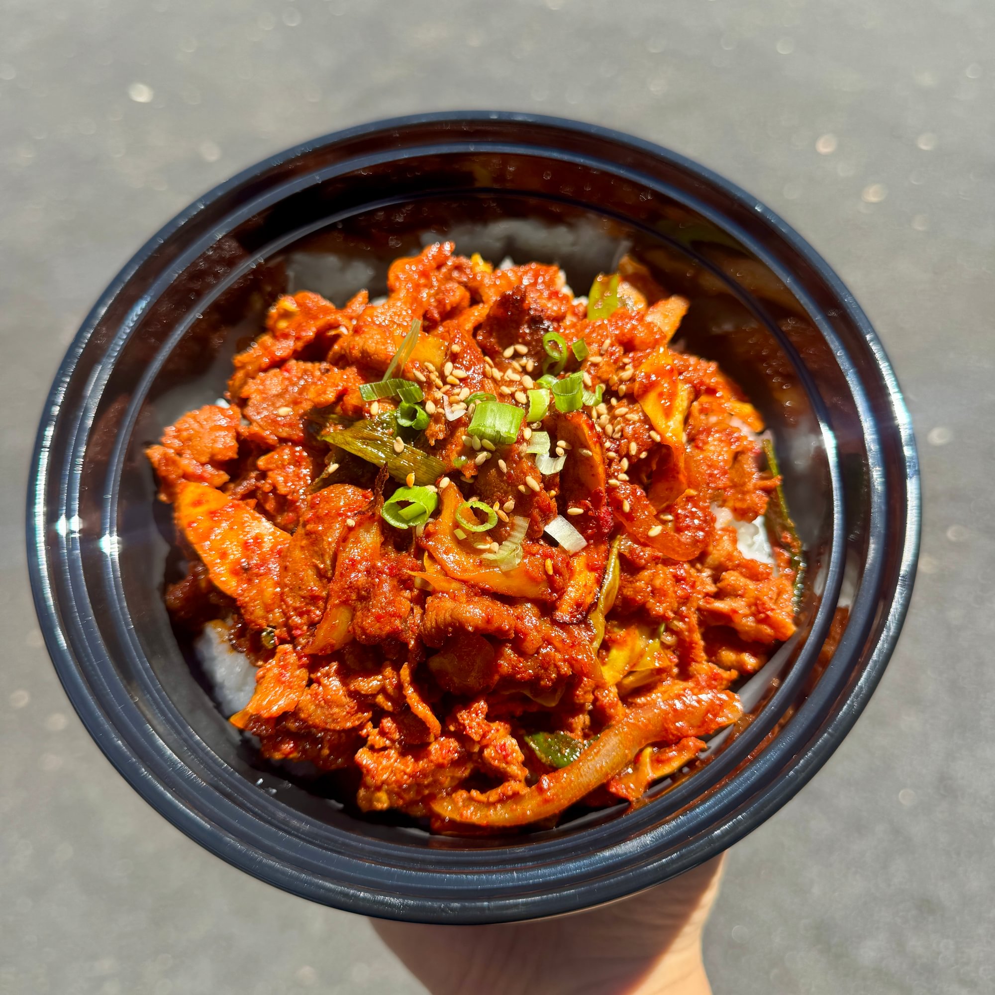 Spicy Pork Donburi