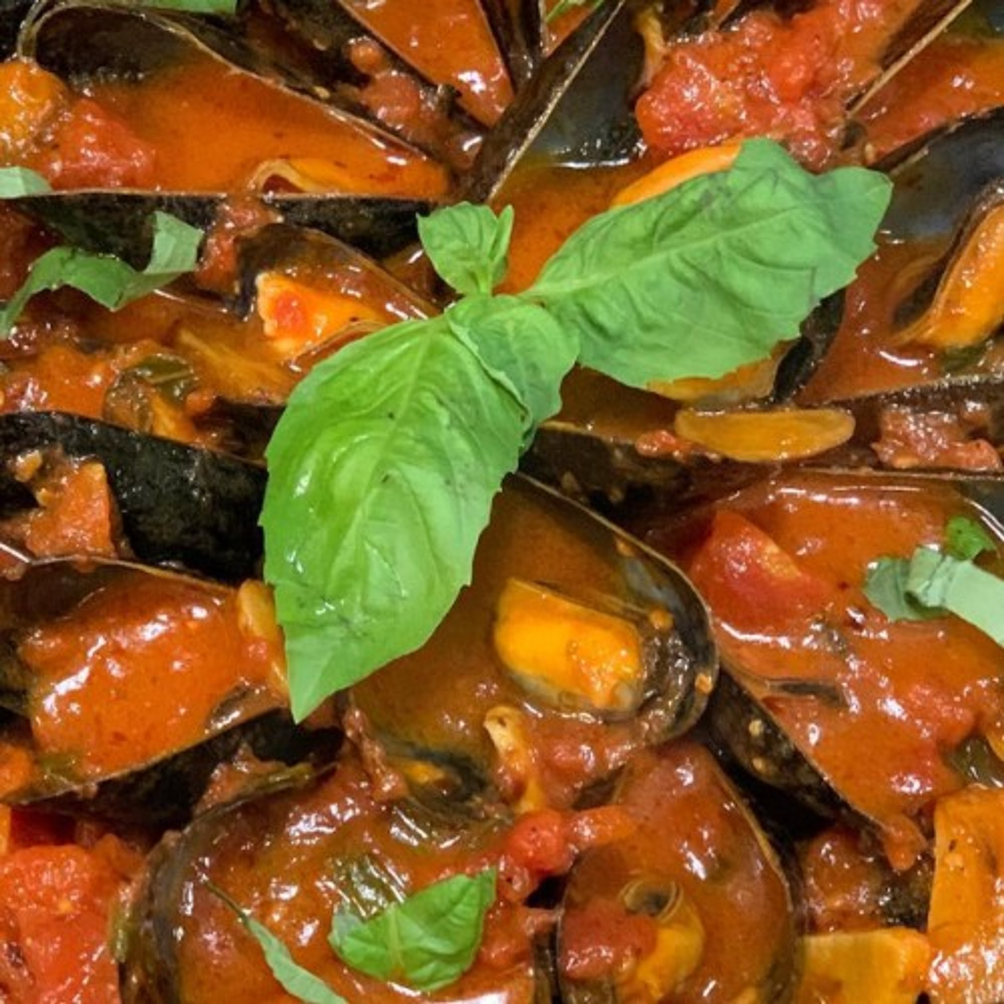 Whole Mussels