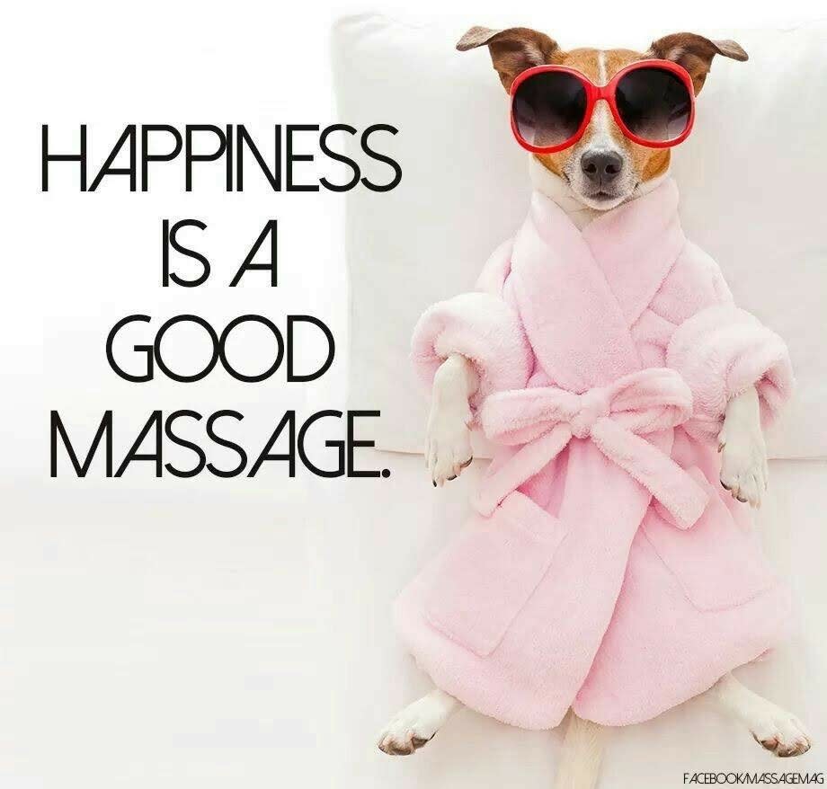 Images Little Oasis Therapies