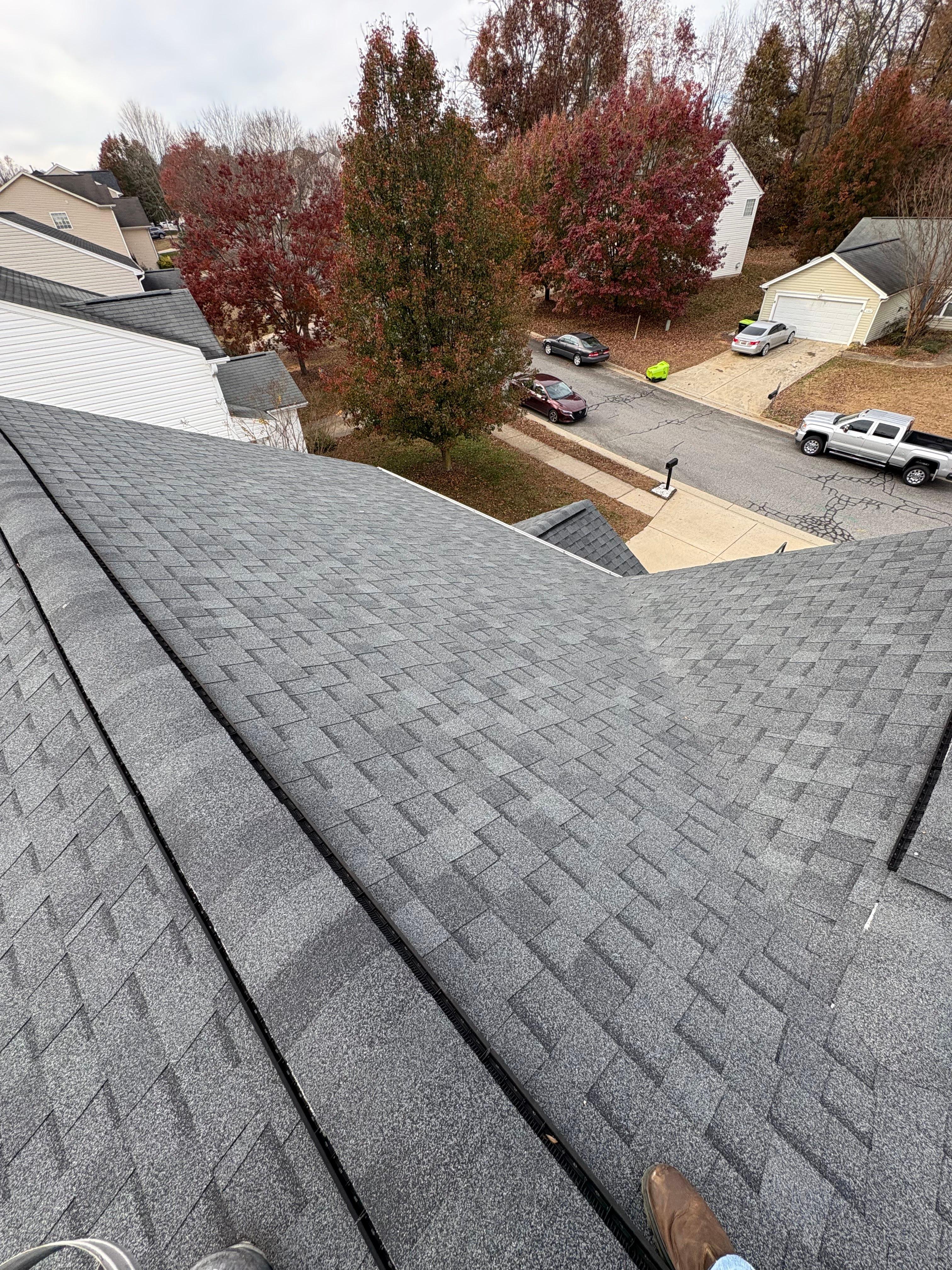 EcoShield Roofing Image