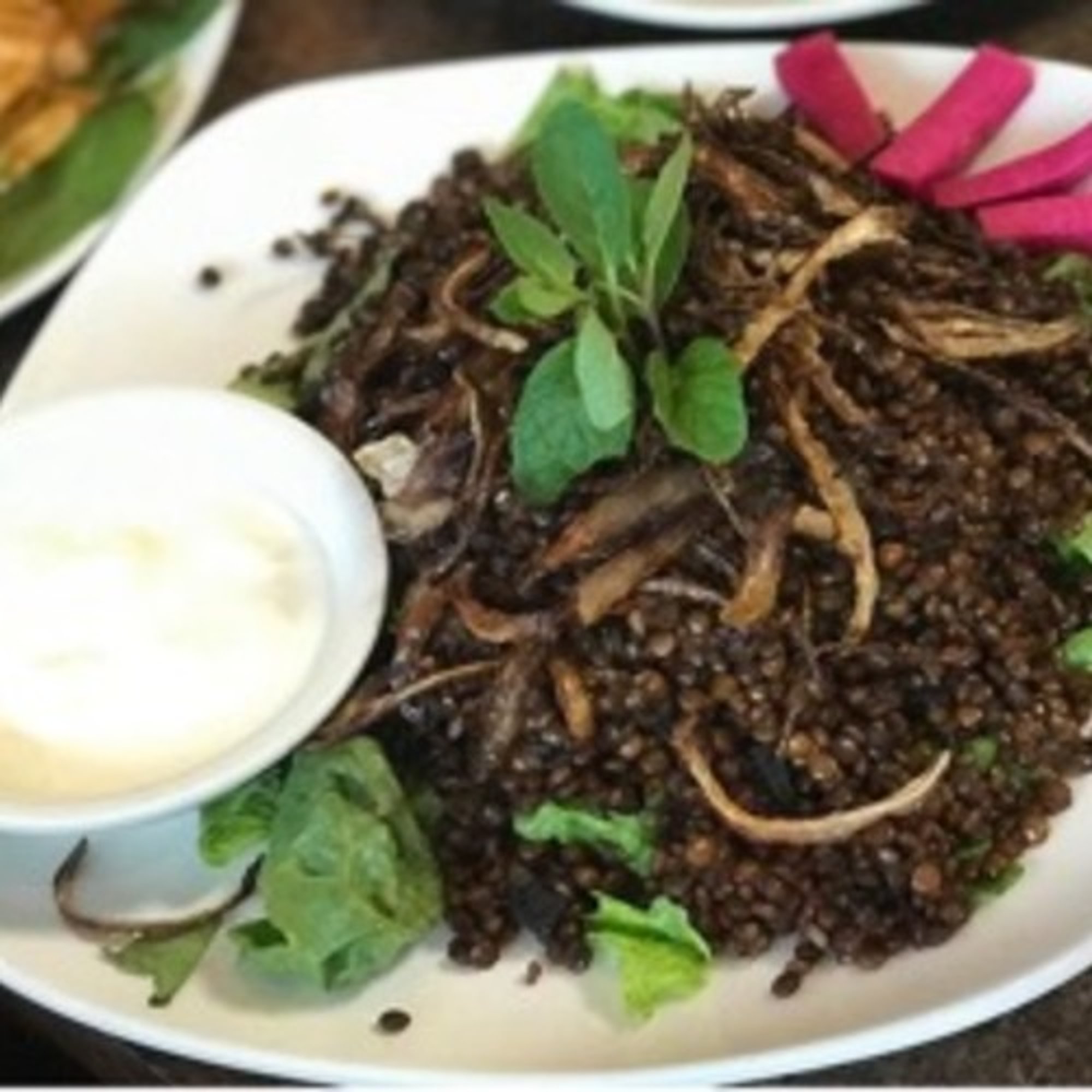 Mujadara Entree