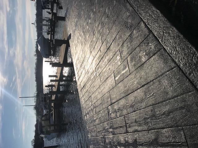 Backyard Bobby's Image