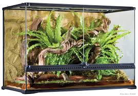 Reptile Terrariums