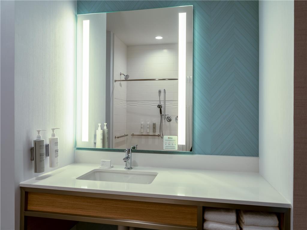 Hilton Garden Inn Austin Central Image