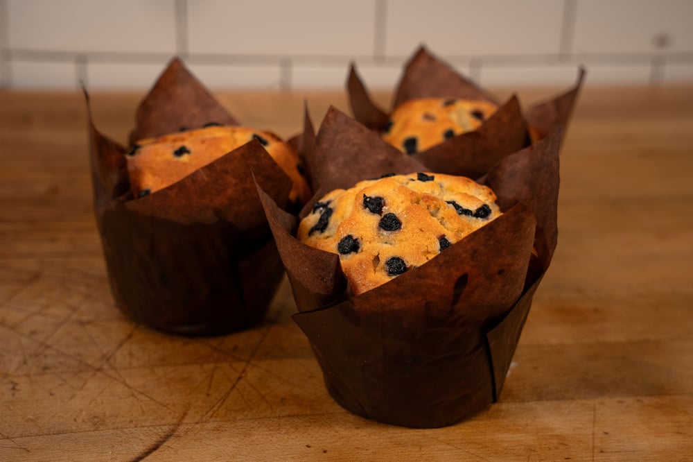 Blueberry Muffin
