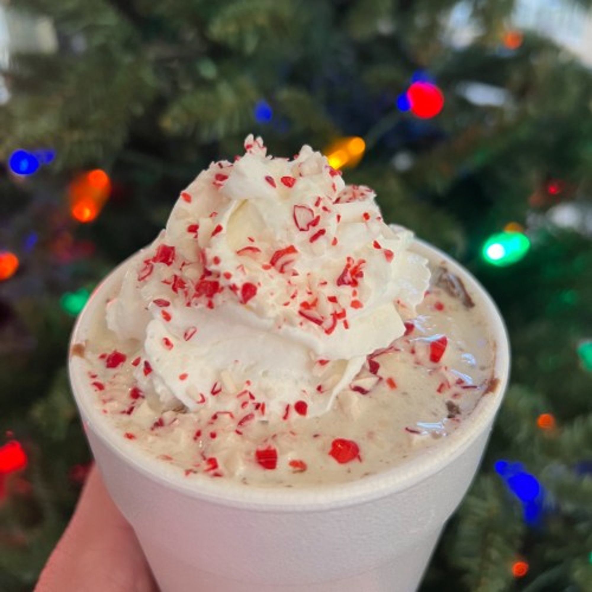 Peppermint Chip Shake