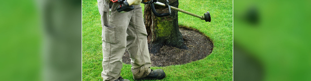 Images A & R Lawn Care, Inc.