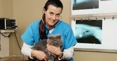 Brookfield Pet Hospital Plus Photo