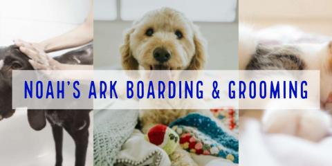 Noah's Ark Boarding & Grooming Photo