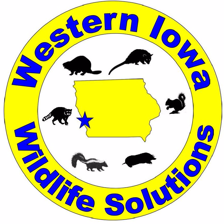 Western Iowa Wildlife Solutions Logo