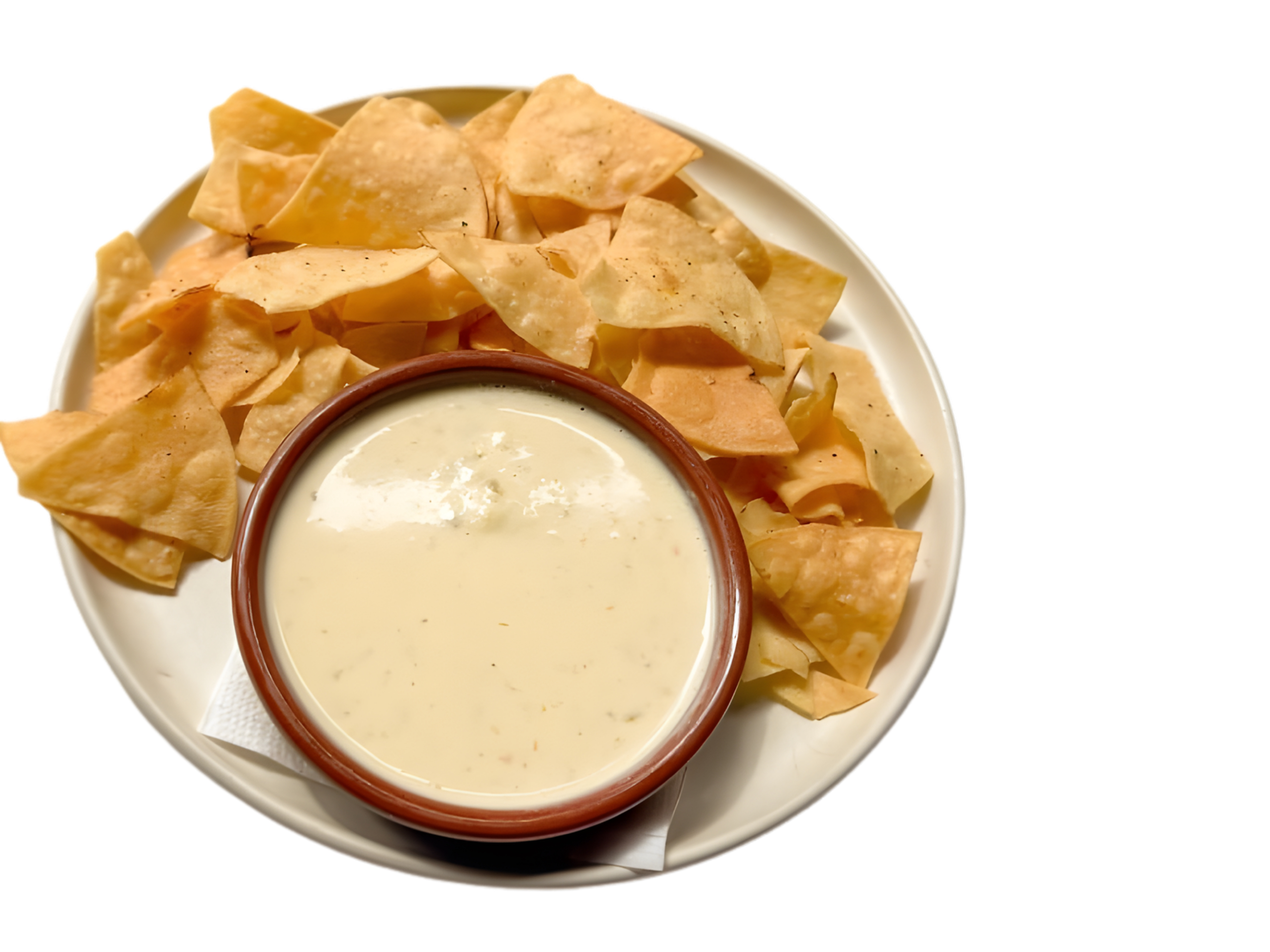 CHEESE DIP PLAIN