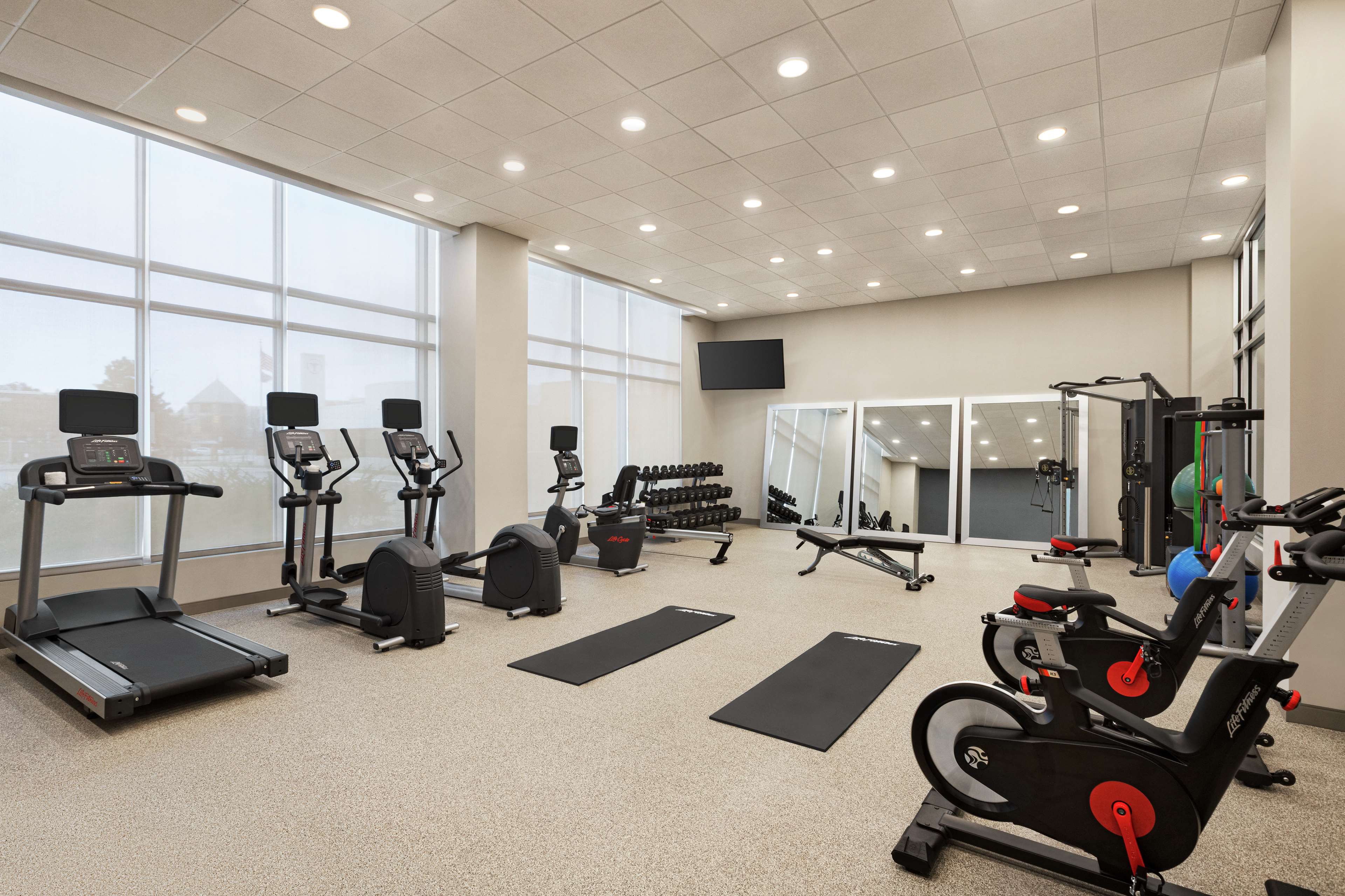 Health club  fitness center  gym