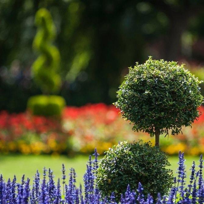 Texas Select Landscape LLC