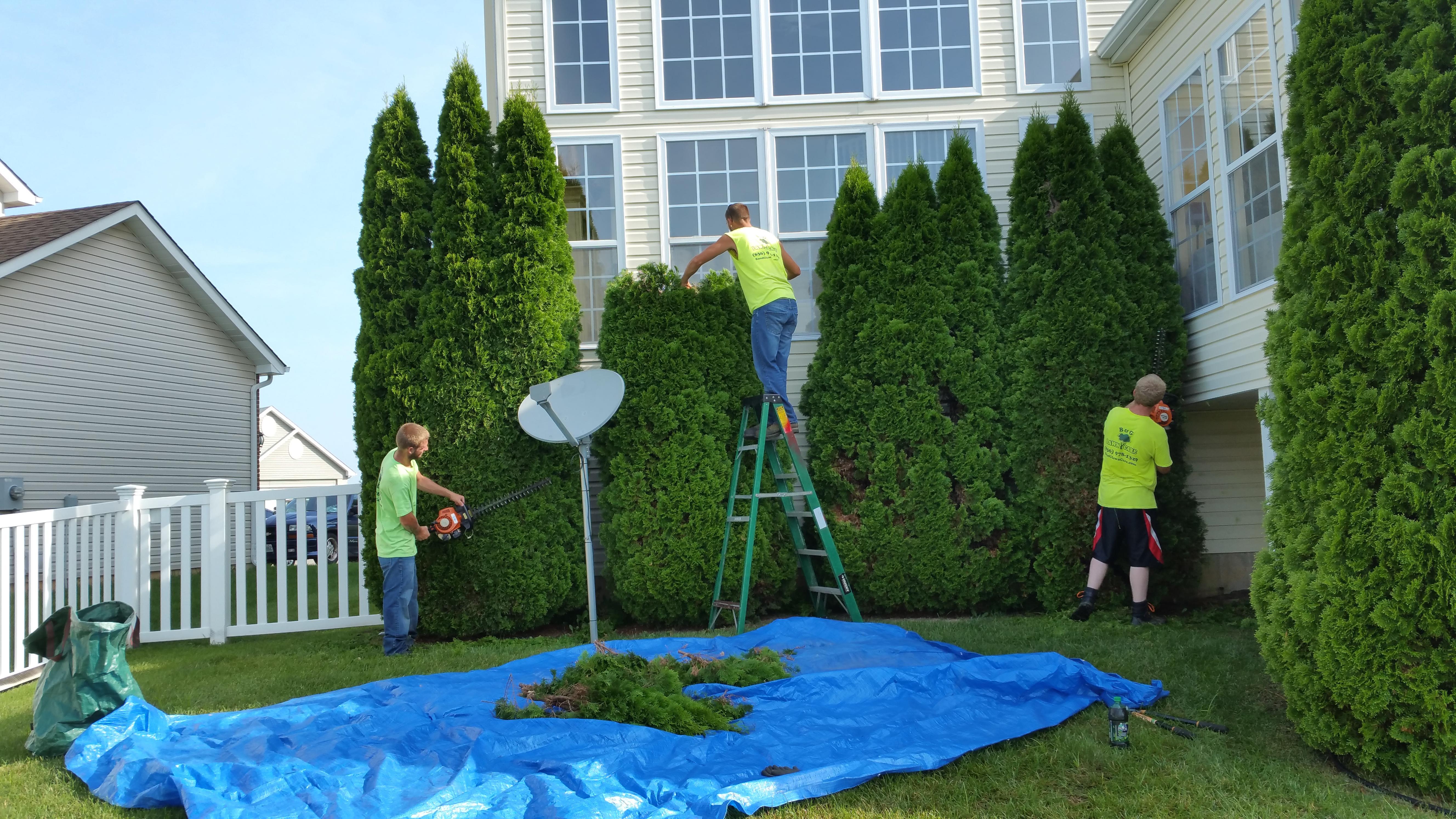 B &amp; G Lawn Care Inc Logo