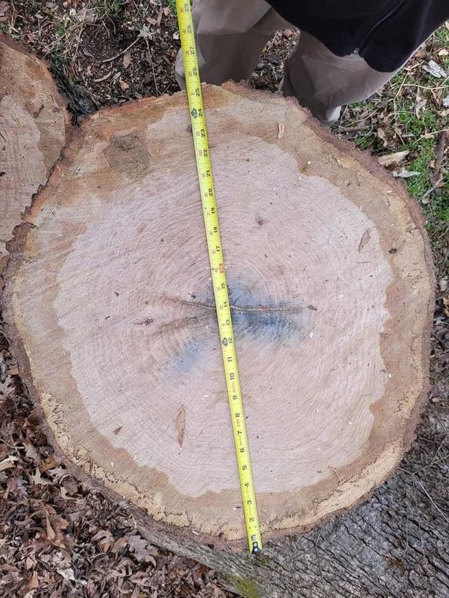 Ventura Tree Services LLC Image
