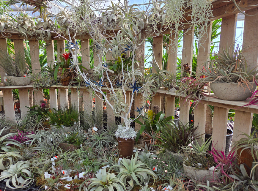 Sunny Spot Nursery Image