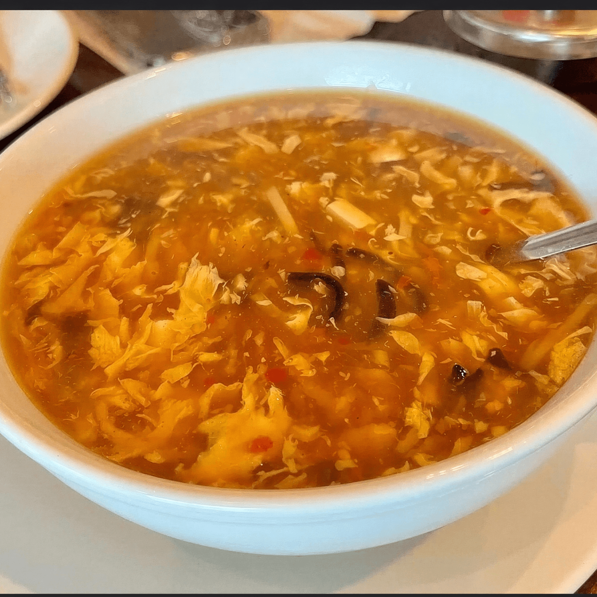 Chicken Hot N Sour Soup