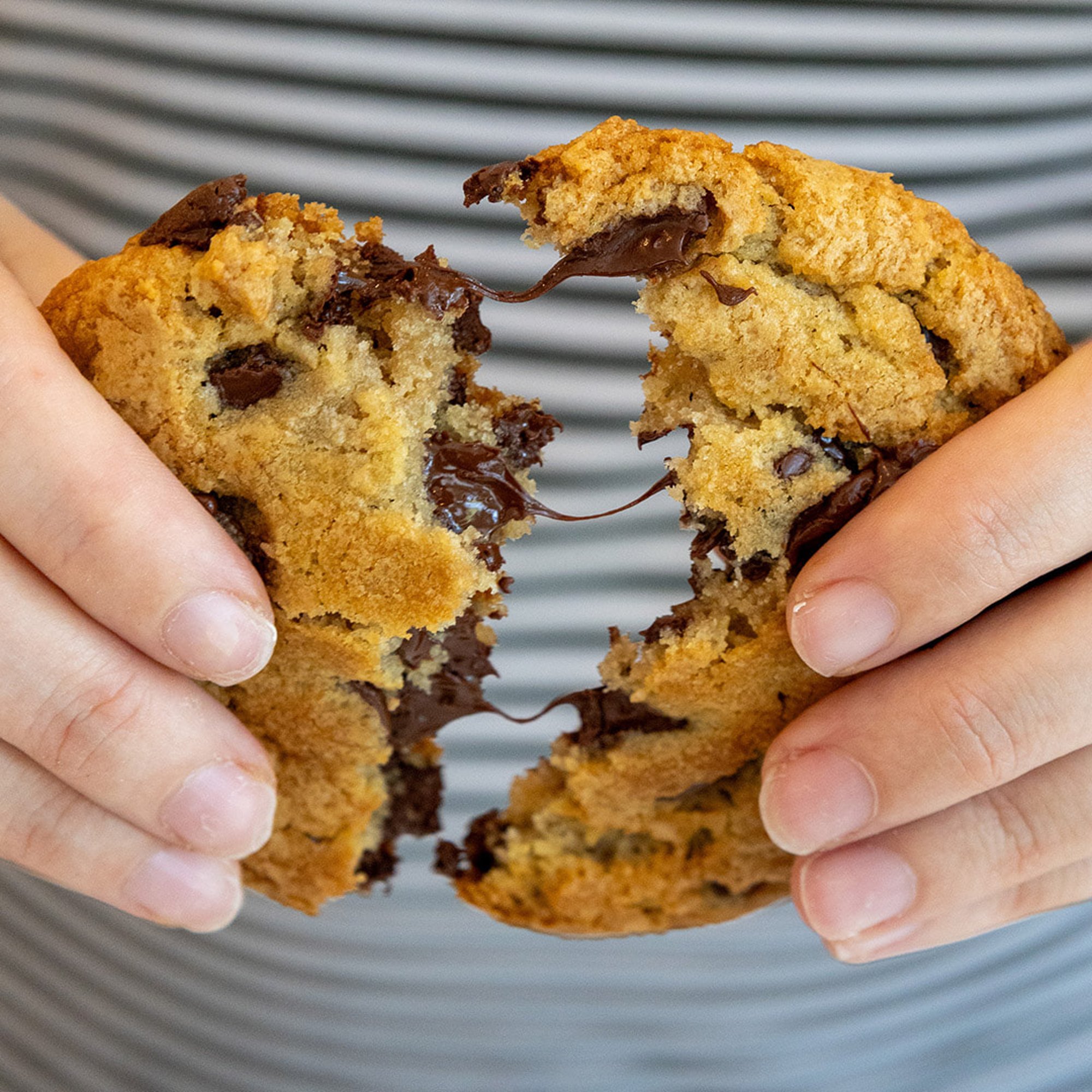 Chocolate Chip Cookie