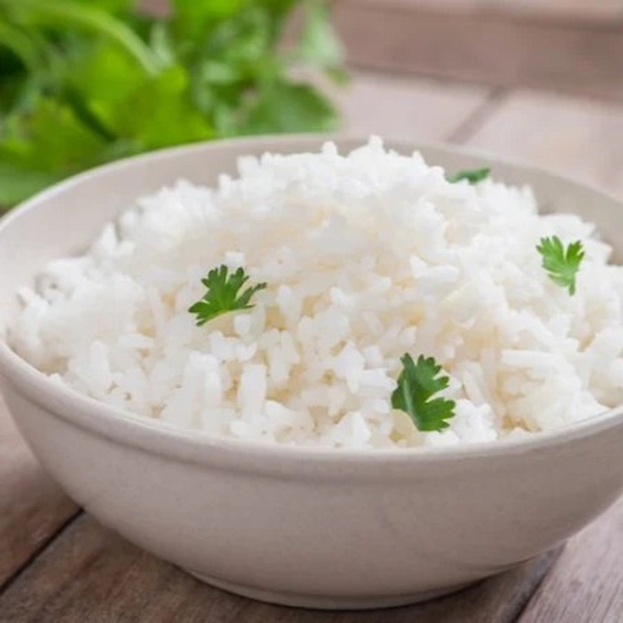 Rice