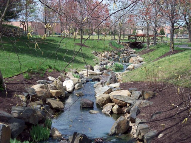 Groves at Piney Orchard Photo