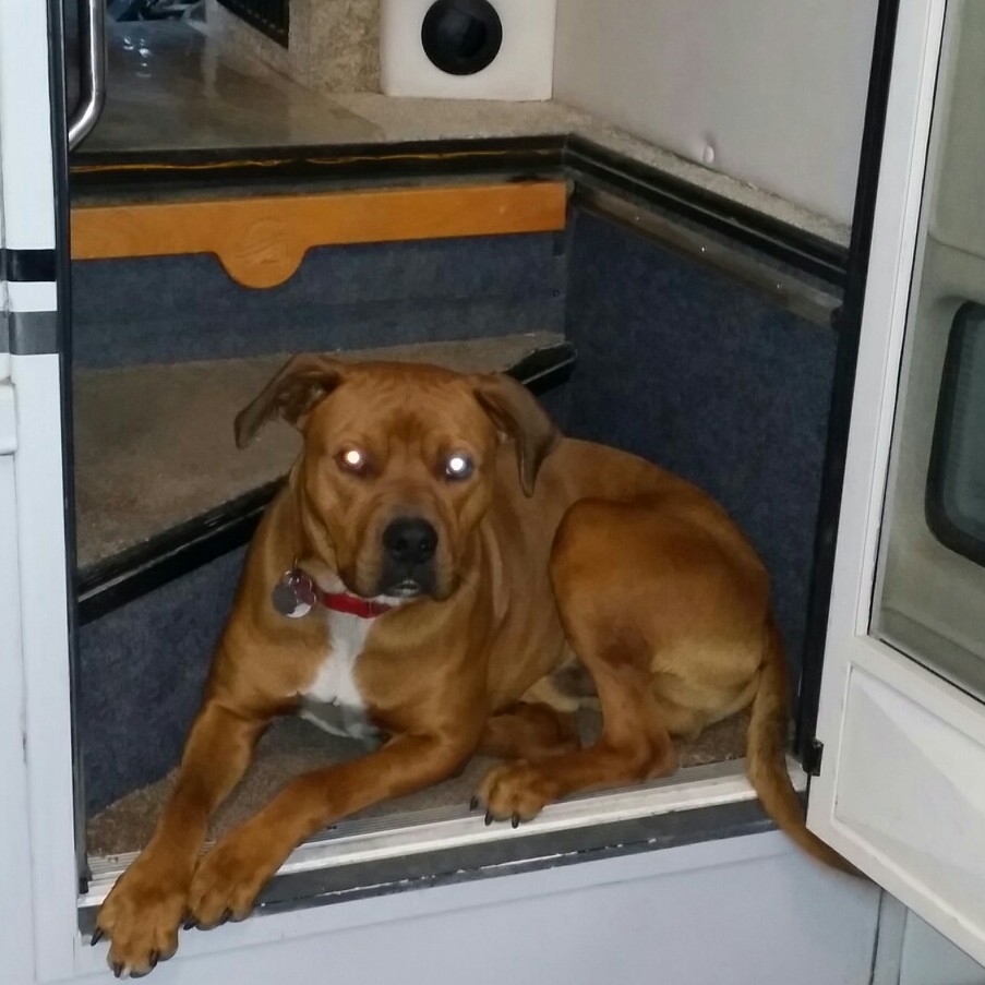 Tucker here,  hey everybody I was on the lot last night checking out all the new rvs that came in yesterday. They are cool and at a great price! !!!!
