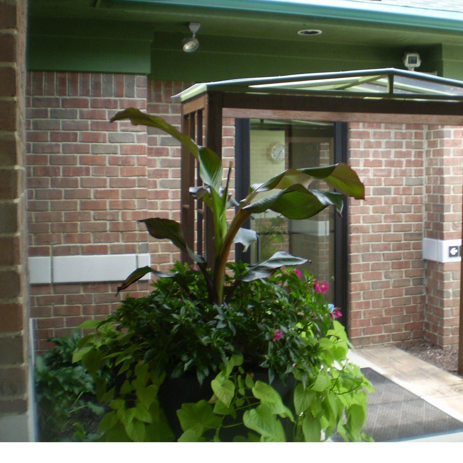 Annie's Garden Designs,LLC Logo