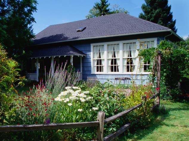 Window Films