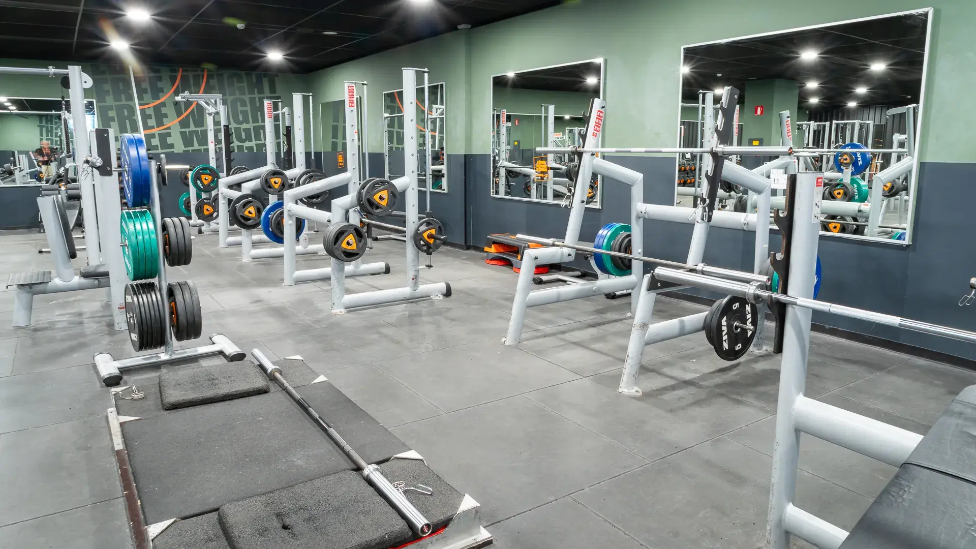 Galería de imágenes